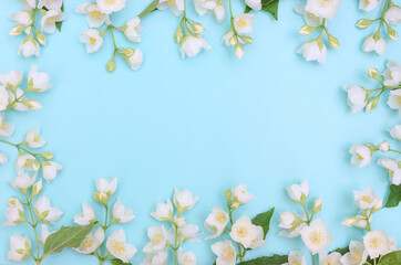 Greeting card background, jasmine flowers on a blue background with copy space