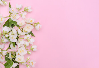 Fototapeta na wymiar Greeting card background, jasmine flowers on a light pink background with copy space