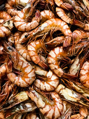 Raw king prawns background. Tiger chrimp. Seafood pattern.