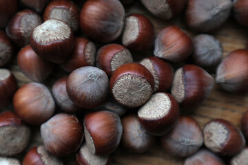 Close up hazelnuts. Hazelnut composition and backgorund. Georgian hazelnuts. organic natural food. close up art photo