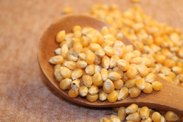 corn seeds amazing food on table in kitchen