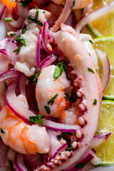 Typical Peruvian food, ceviche. Detail of the products or ingredients in the presentation. Ethnic food concept.
