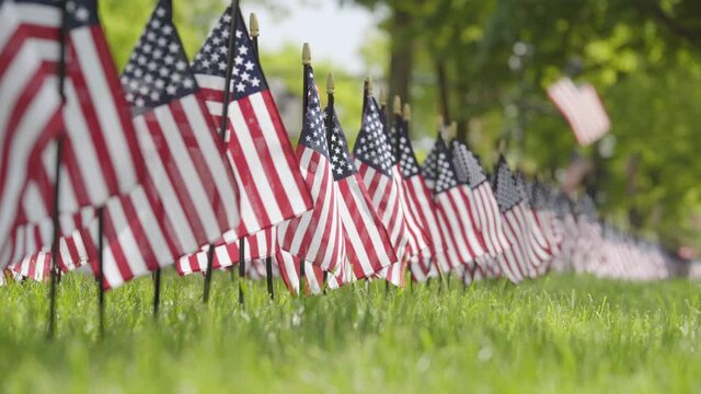 American Flags of the United States of America on Green Grass Lawn and Field Standing in Rows and Lines of Small Flag Poles Displaying Red, White, and Blue Stars and Stripes 4k