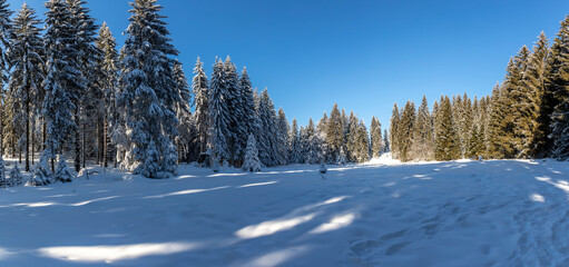 winter scenery in Styria, Austria