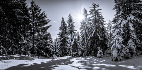Obraz na płótnie Canvas winter scenery in Styria, Austria