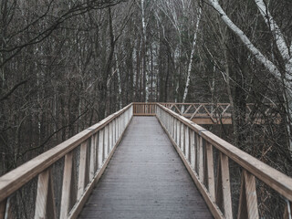 Obraz premium Wooden bridge in the forest