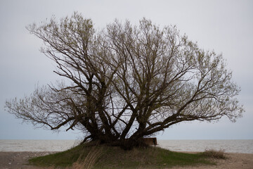 Lake Michigan Bench