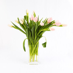 Tulips in a glass vase on white.