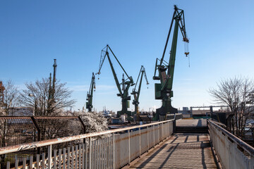 Fototapeta na wymiar Cranes in the shipyard of Gdansk, Poland.