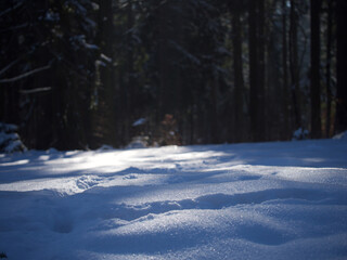 winter in the forest with a area with tracks from animals in the snow visiting this nice hills of the swabian alb