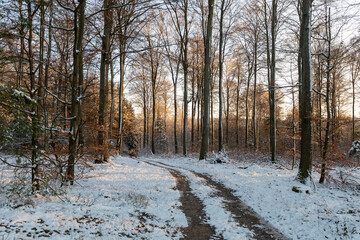 Odenwald - Wintertag