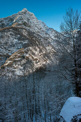 landscape with snow