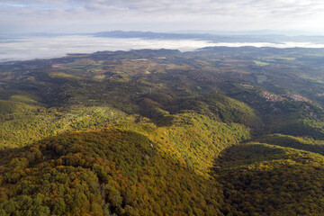 Aerial view of the Soriano beech tree in the Cimino in Viterbo. The woods in autumn. Colors and a beautiful landscape