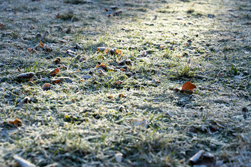 Hoarfrost on frozen soil ground and green grass with sunlight shining on it in the early morning hours. Close-up detail of a meadow during winter season right after sunrise.
