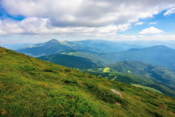 hoverla peak of carpathian black ridge. beautiful summer landscape at noon. clouds on the sky above the valley. view from petros mountain slope covered in grass