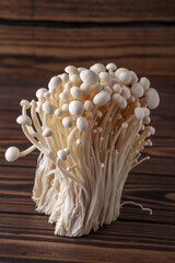 Enoki mushroom, Golden needle mushroom group of golden needle Mushroom.Enoki, also known as velvet shank, is a species of edible mushroom in the family Physalacriaceae.