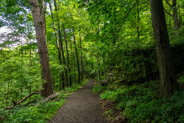 Hiking trails in and around Belleview State Park, Iowa.