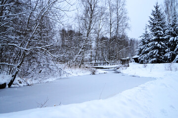 Snow-covered forest background. Trees under a deep thick layer of snow. Frozen river