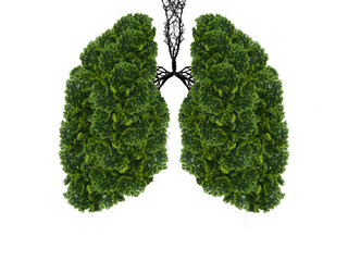 Abstract silhouette of lungs on a white background . Trees are the lungs of the planet. Air...