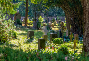 sunny graveyard scenery