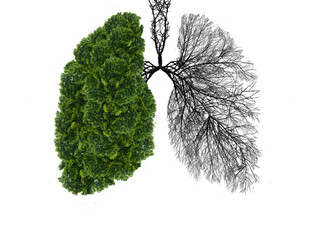 Abstract silhouette of lungs on a white background . Trees are the lungs of the planet. Air...