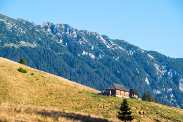 Fototapeta na wymiar House on mountain pasture in summer