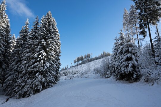 Winterwanderung - Verschneite Winterlandschaft bei Limbach im Th&uuml;ringer Schiefergebirge