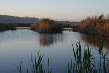 calm water in the lake at sunset