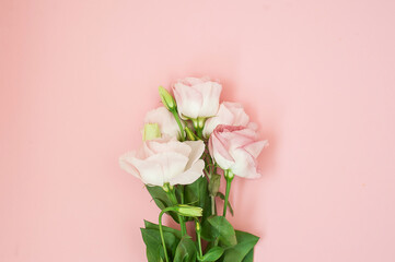 Flowers composition. Pink rose flowers on pastel pink background. Flat lay, top view, copy space