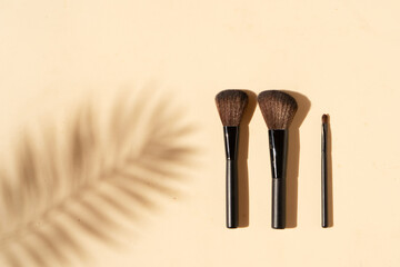 make up brushes