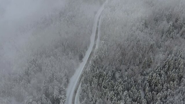 Snowfall covered the road and trees with a layer of snow. Beautiful drone flight in winter
