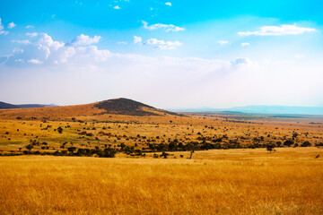 Fototapeta na wymiar Plane and hill in Kenyan Maasai Mara national park, Africa