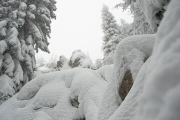 VELEBIT MOUNTAIN, ZAVIZAN - 2.1.2021. Northern Velebit National park covered with snow. Cloudy cold day in the mountains.