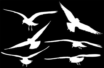 set of six seagull white silhouettes