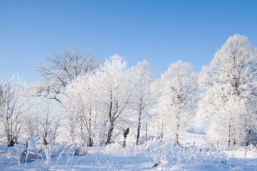 Fototapeta na wymiar Snow landscape in sweden, skåne