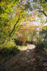 Obraz premium Cable mountain in Rome. The sacred way and woods in autumn. Colors, nature and a fairytale landscape