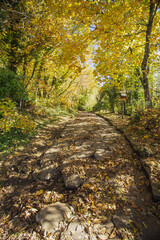 Cable mountain in Rome. The sacred way and woods in autumn. Colors, nature and a fairytale landscape