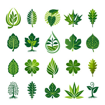 Green decorative leaf icons set. Various shapes of green leaves of trees, plants. Elements for organic, bio logos or landscape business, agriculture, care about the environment. Vector illustration.
