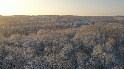 Beautiful treetops in a snowy forest. Top View Of The Treetops Of A Snowy Mixed Coniferous And Deciduous Forest. 