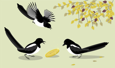 Three magpies found the money, a shiny coin for curious birds. The concept of find and the dispute between the partners. Vector illustration in cartoon flat style. Luck on a sunny autumn day.