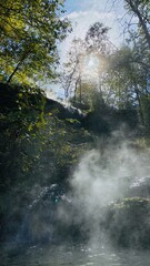 Fototapeta na wymiar The Great Smoky Mountain National Park