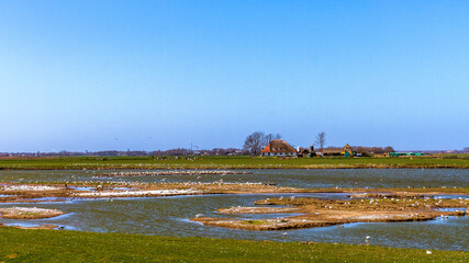 Vogelschutzgebiet Ottersaat, Texel, Niederlande