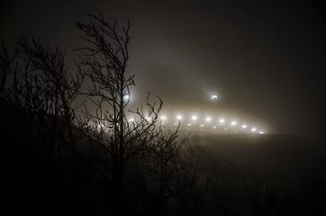 Fototapete UFO unbekannte lichter und nacht im wald