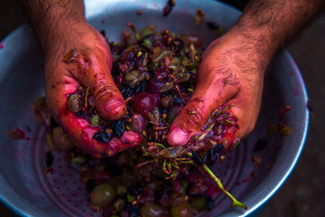 the hand stomping a grapes