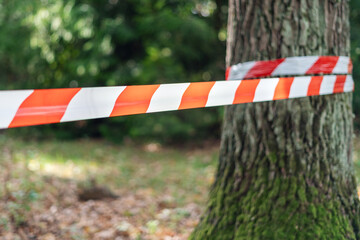 Red and white barrier tape, fenced off dangerous place or crime scene in the forest