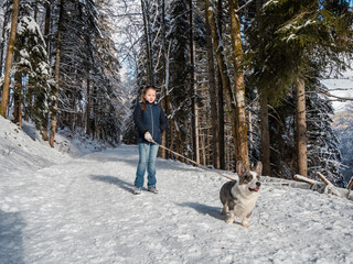Naklejka na ściany i meble A girl plays with a corgi dog in a snowy forest. Sunlight. Winter's tale.