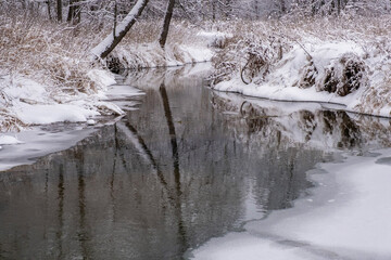 Reflection of tree trunks in the water of a small river with banks covered with snow.