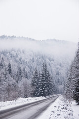 winter road in the mountains and trees with snow. Poland