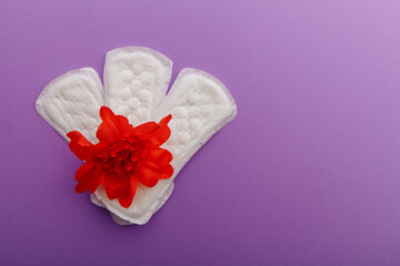 Fototapeta na wymiar Female's menstrual cycle concept. Sanitary pads with red flower.