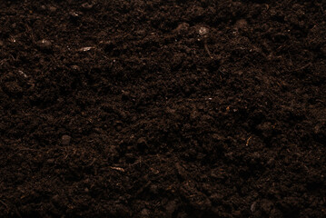 Black land for plant background.